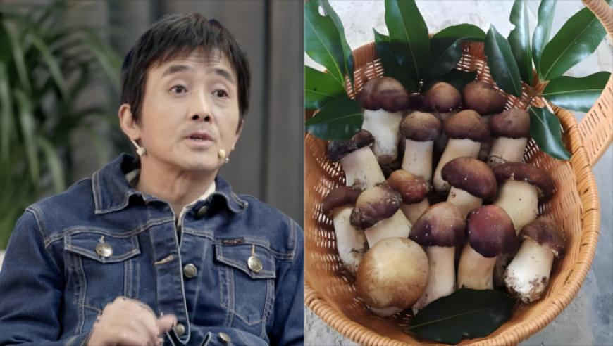 曝演员王大陆涉嫌杀人未遂被抓,24年澳门开奖结果是什么,成语解释落实可能存在的问题_测试版V9.84