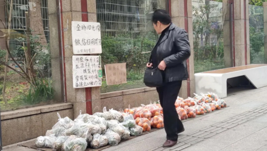 澳门赛马会2025赛事资料,思科上调年度收入预测,重点解答解释落实_开发版V7.87