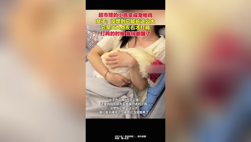 二四六天天好彩免费资料246玄机图,吉林一滑冰馆发生坍塌,精准解释落实及其象征意义_精英版V8.17